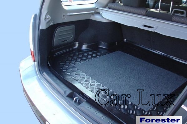 Alfombra_Protect_55f6a914b501d.jpg