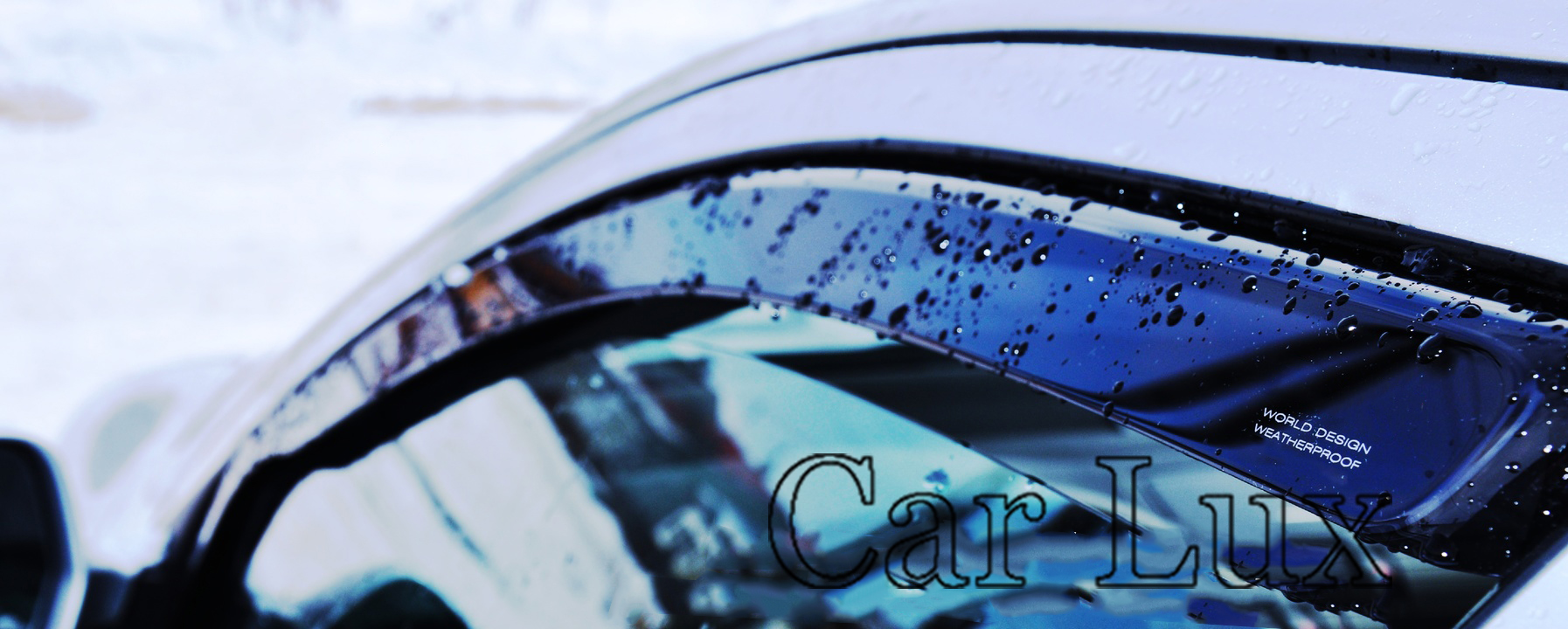 ZZZZZZZZ3.jpg