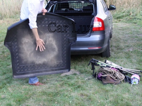 aristar20standard20CL159887ff0b8841.jpg