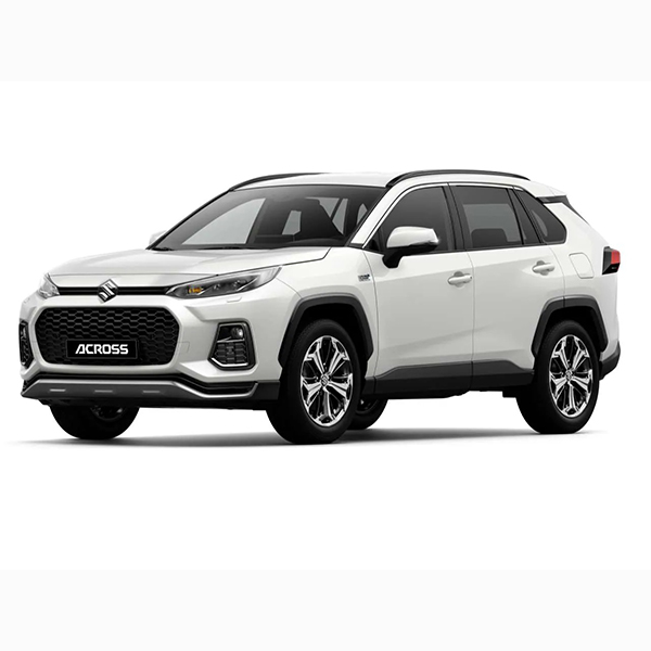 suzuki_across.jpg